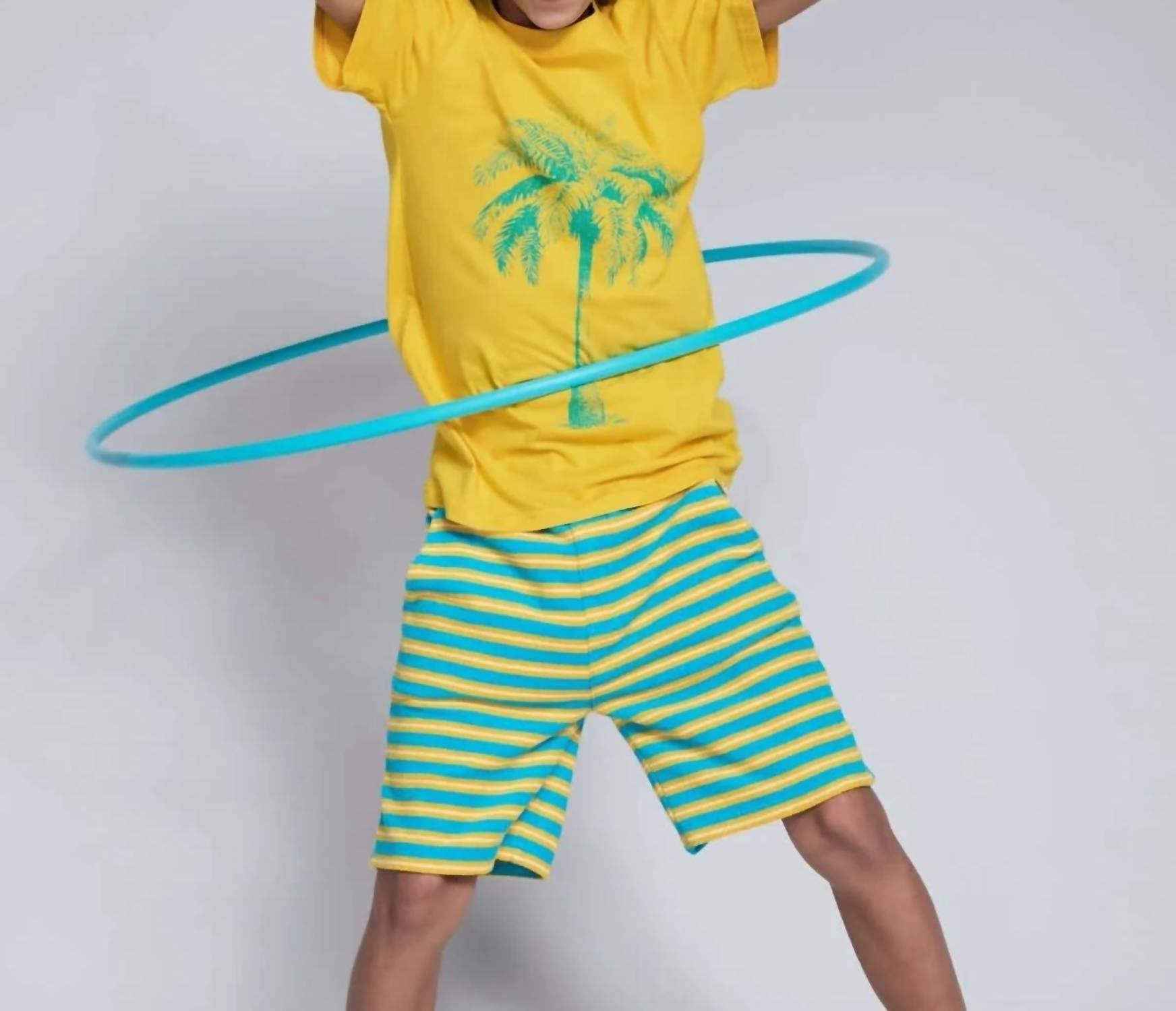 Appaman - Boy's Sunrise Stripe Preston Shorts