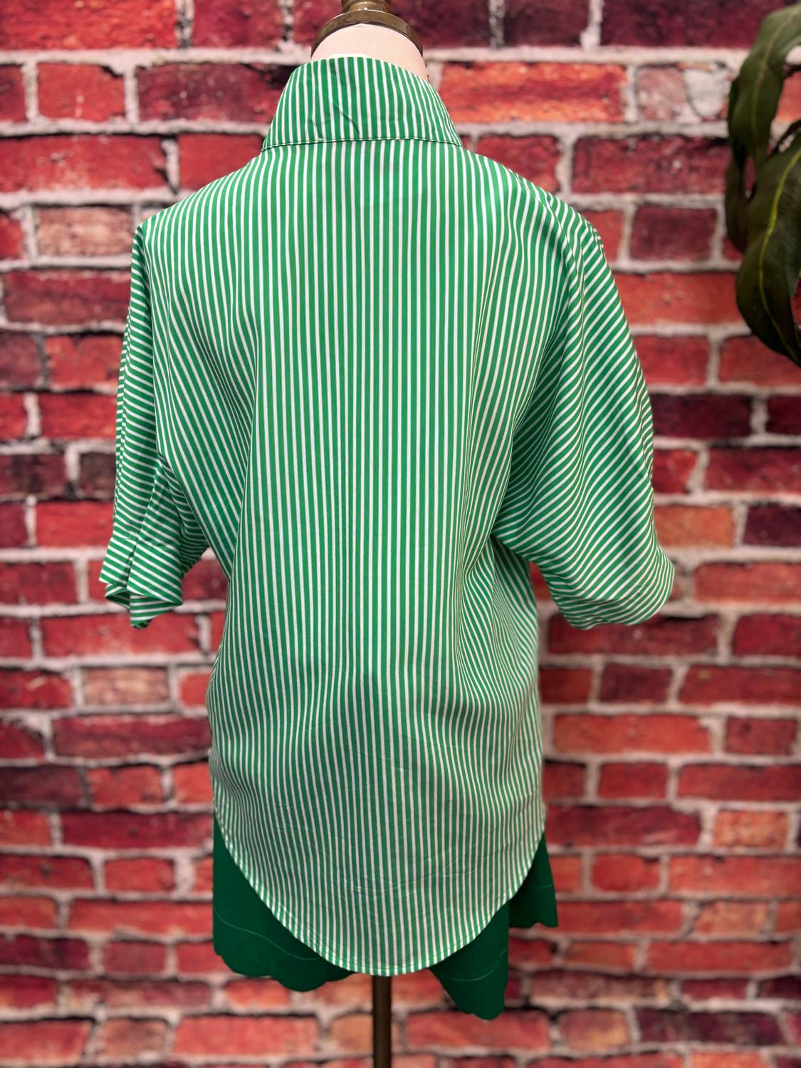 Caryn Lawn - Women's Striped Notch-neck Blouse
