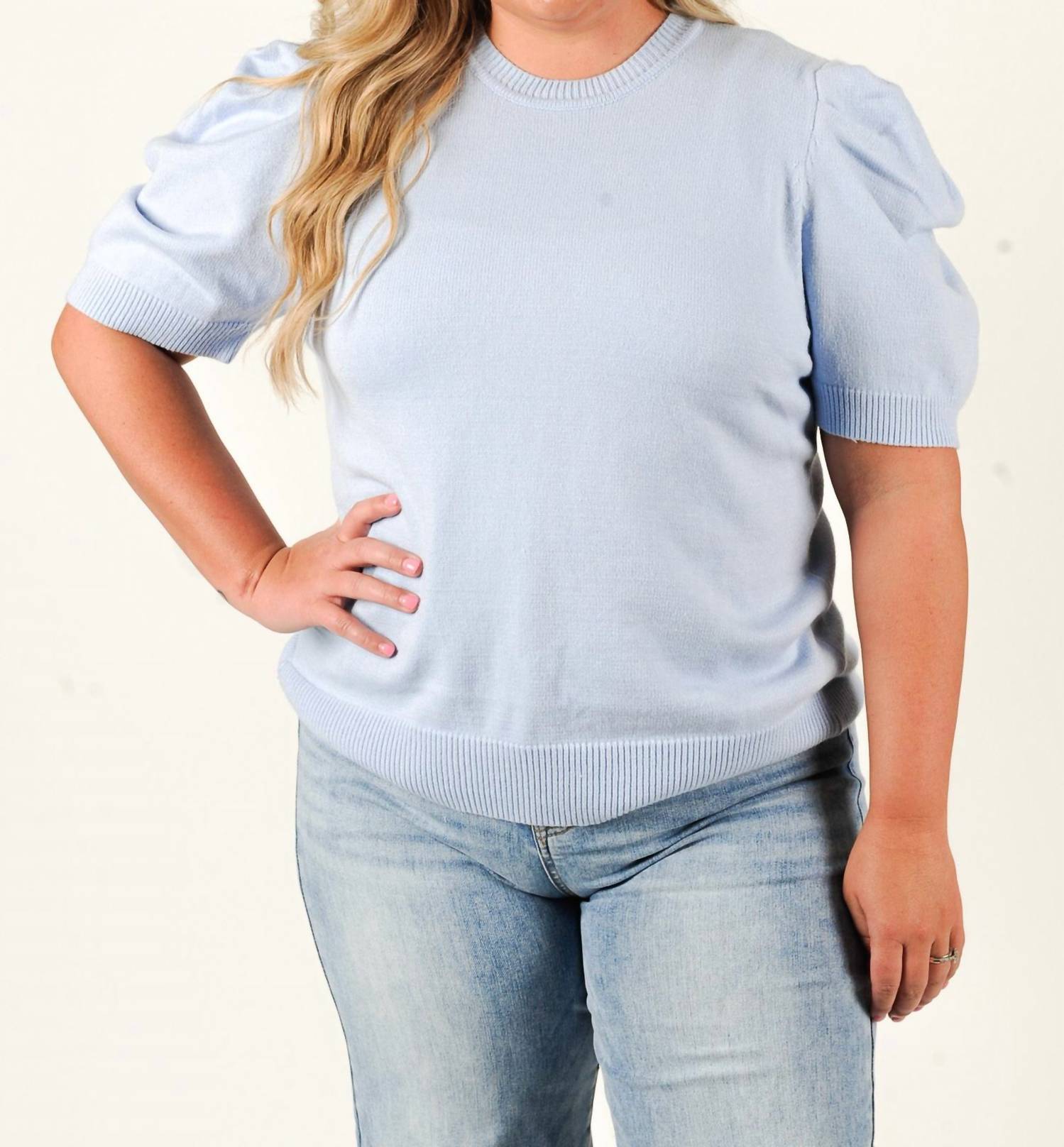 SHE + SKY Meadow Knit Short Sleeve Sweater - Plus in blue - women's sweater
