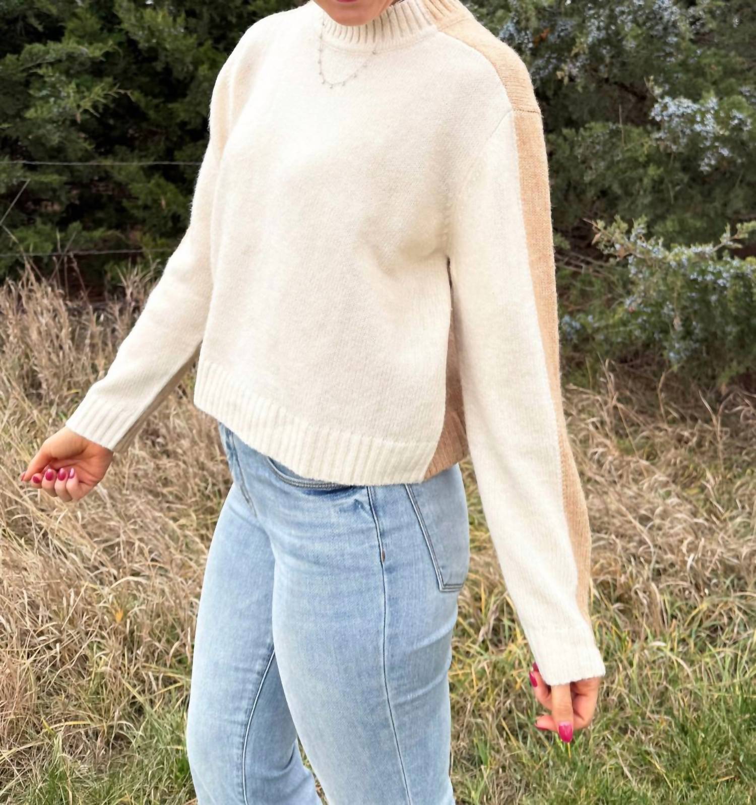 Elan - Colorblock Crewneck Sweater