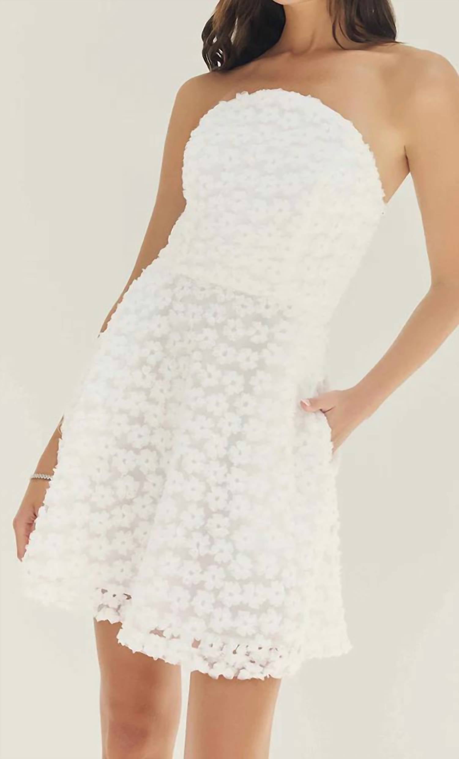 Hutch - Patricia Mini Dress