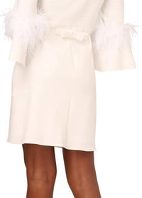 Adrianna Papell - Stretch Crepe Feather Dress