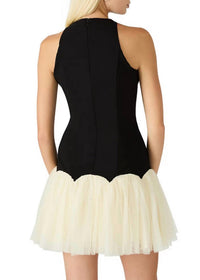 Steve Madden - Nohemi Mini Dress