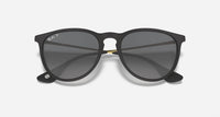 Ray Ban - Women's Erika Polarized Round Sunglasses