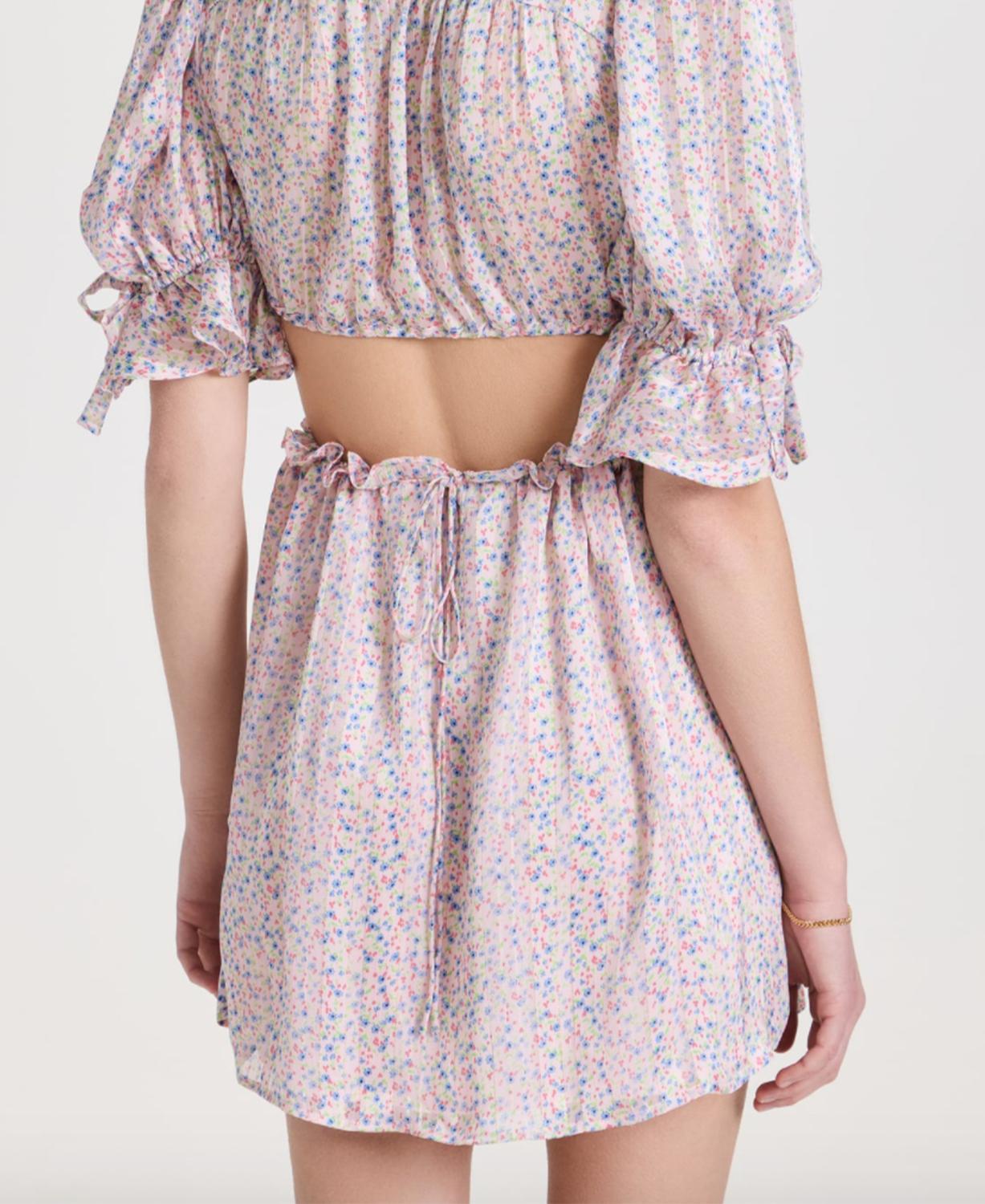 PHOEBE FLORAL-PRINT CUTOUT SATIN CHIFFON MINI DRESS