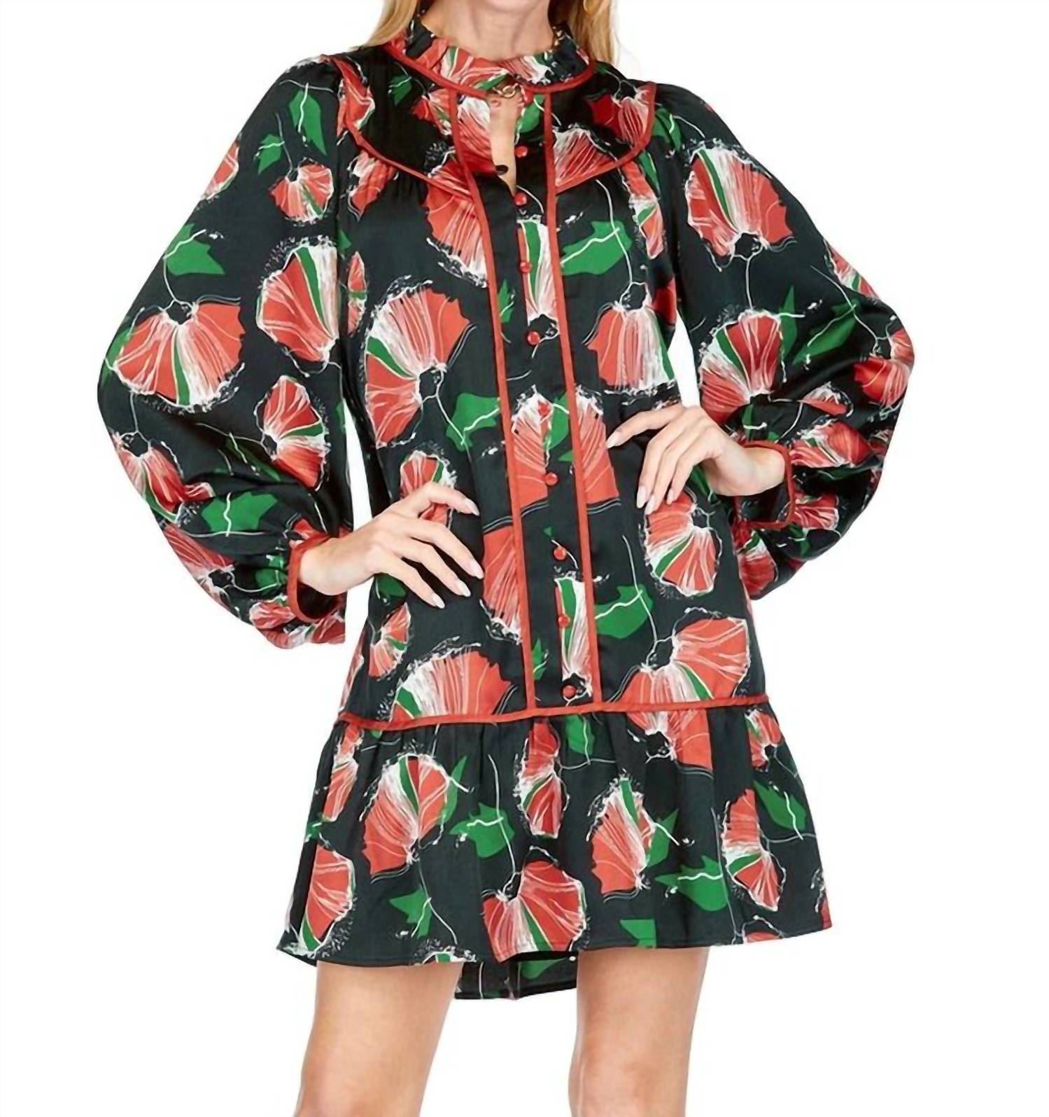 Joy Joy - Poppy Moons Dress