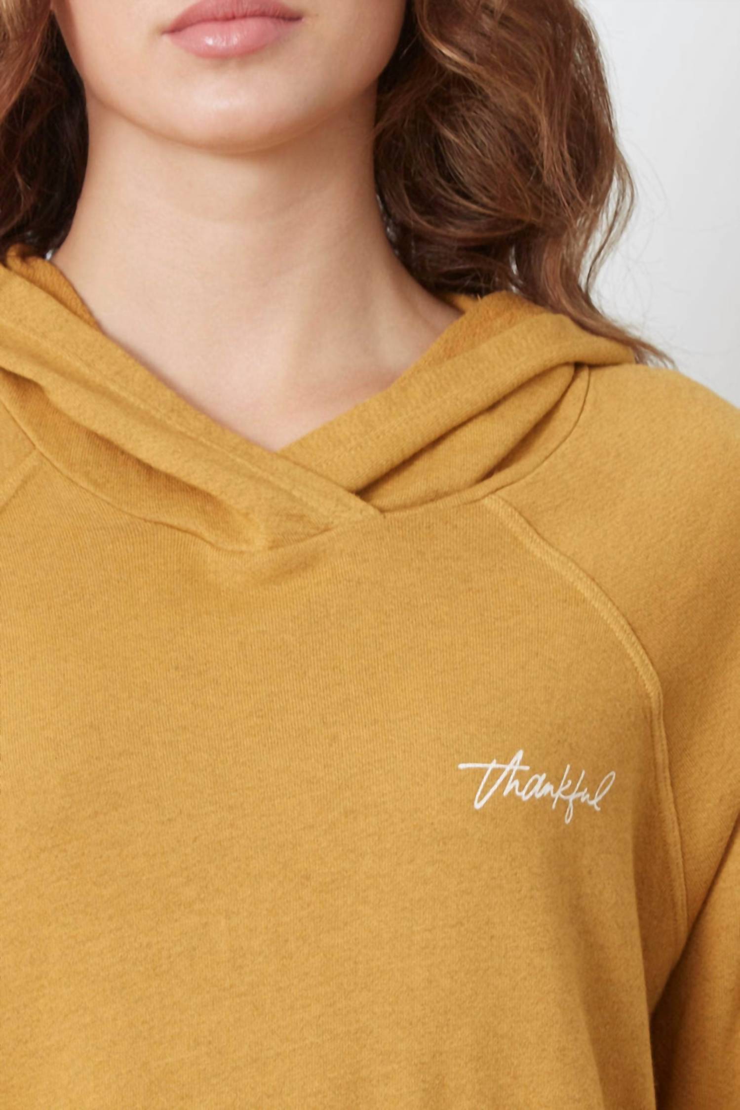 Good Hyouman - Elvy Hoodie
