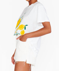 Show Me Your Mumu - Powell Denim Shorts