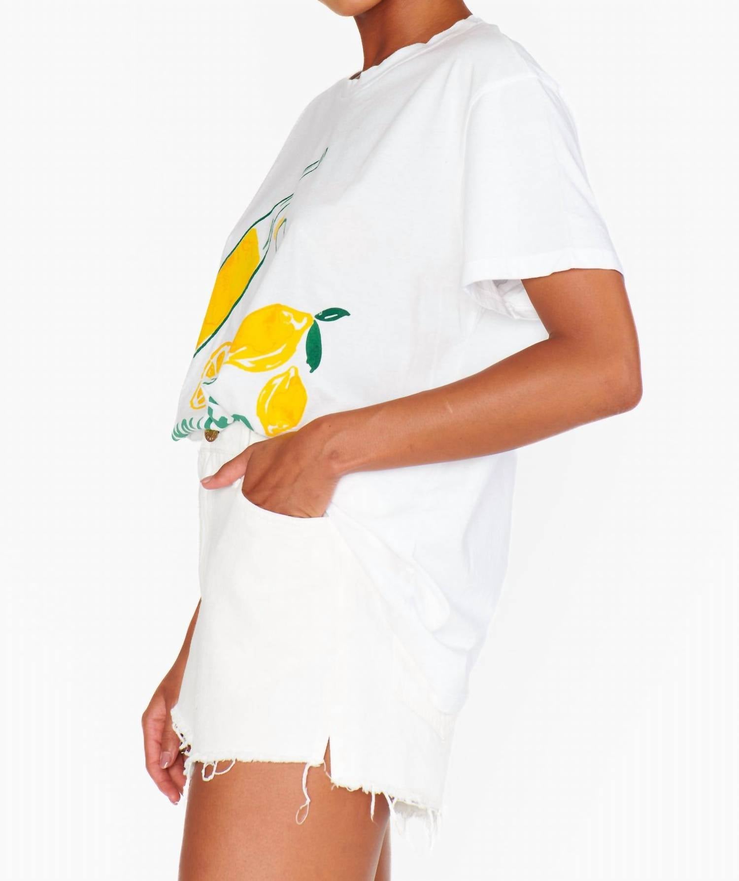 Show Me Your Mumu - Powell Denim Shorts