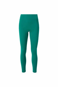 Bandier - Center Stage Leggings