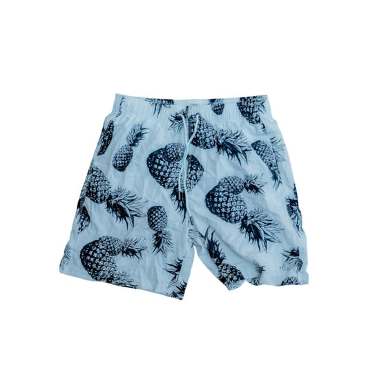 Heat Swimwear - Men's Swim Trunks