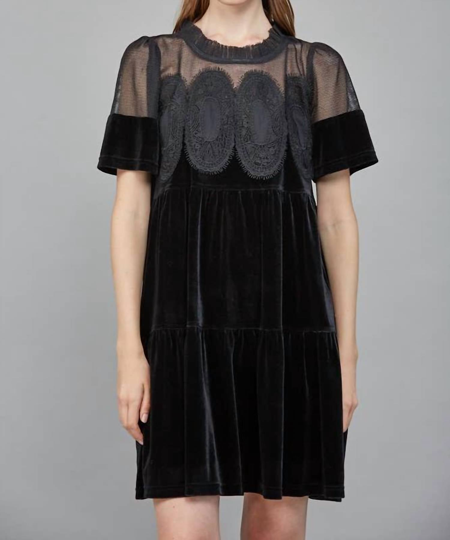 Fate - Contrast Sheer Mesh Intricate Lace Detail Mini Dress