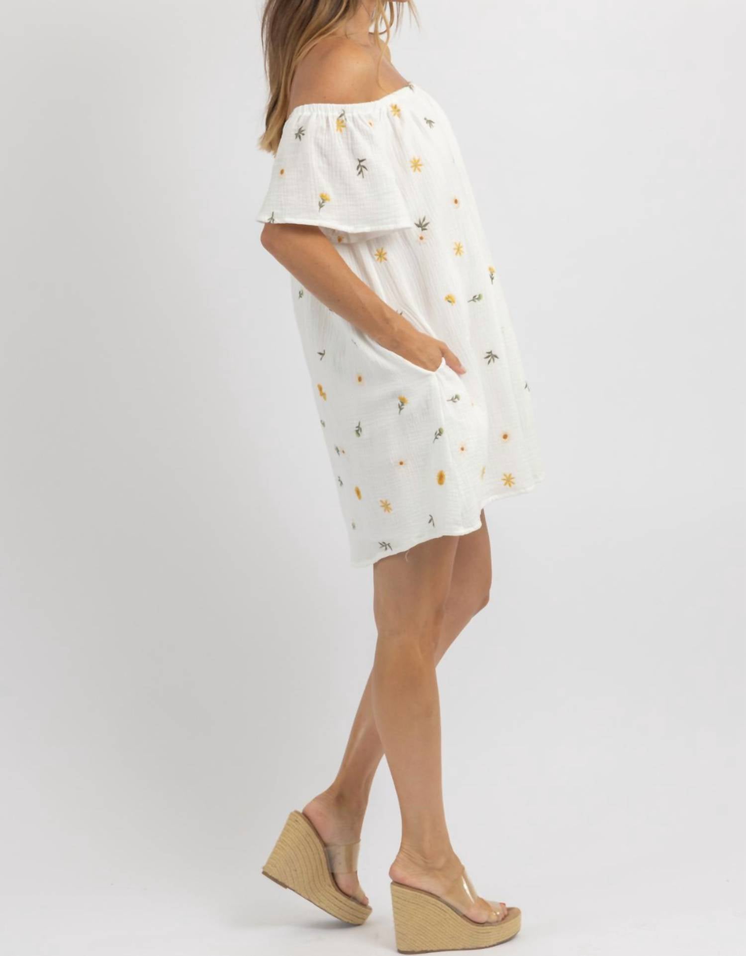 In February - May Embroidered Mini Dress