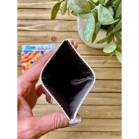 Boho Ranch - Women's Cowhide Card Holder