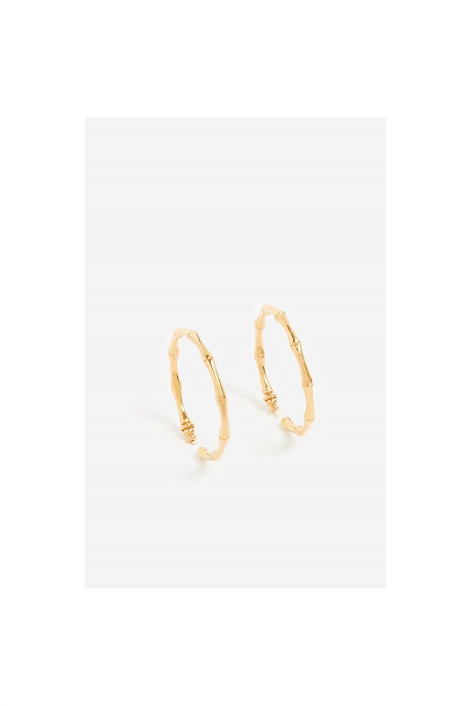 vanessabruno Women's Brass Creoles Earrings in gold - women's jewelry
