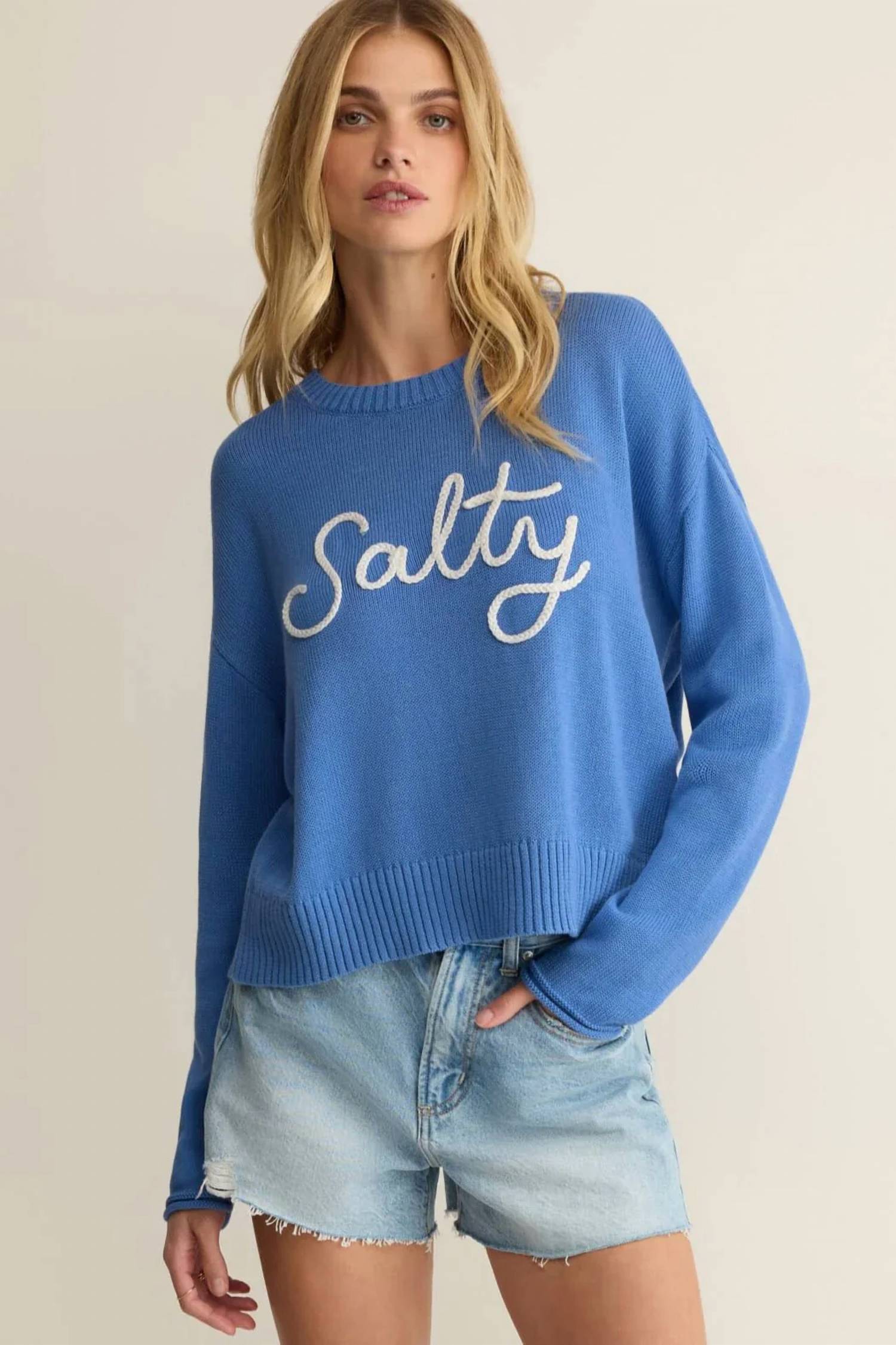 Z Supply - sienna salty sweater