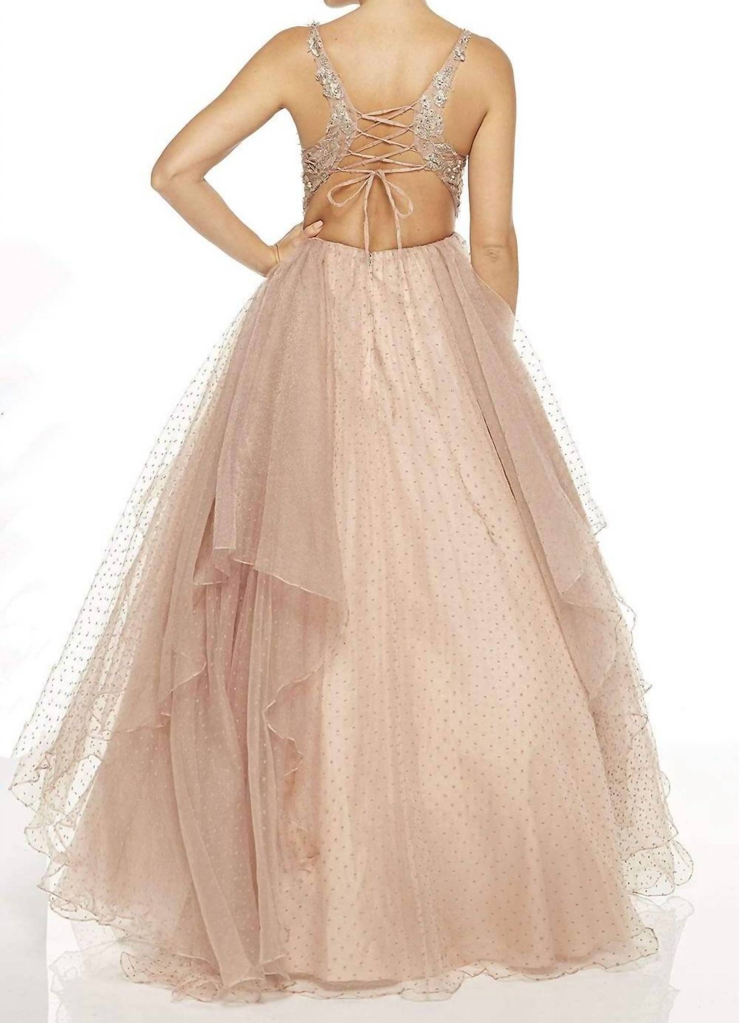 ALYCE PARIS Floral Applique Sleeveless Long Dress in latte - women's dress - detail view