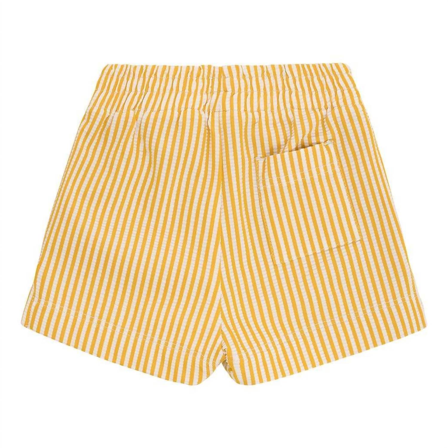 Montce - Boy's Mini Swim Trunk