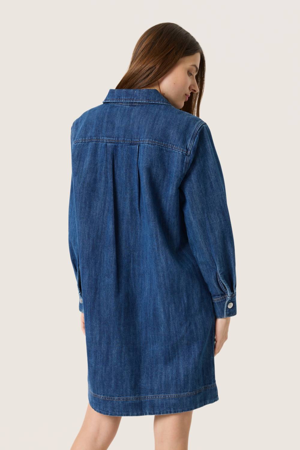 Soaked In Luxury - Zianna Long Sleeve Collar Dress