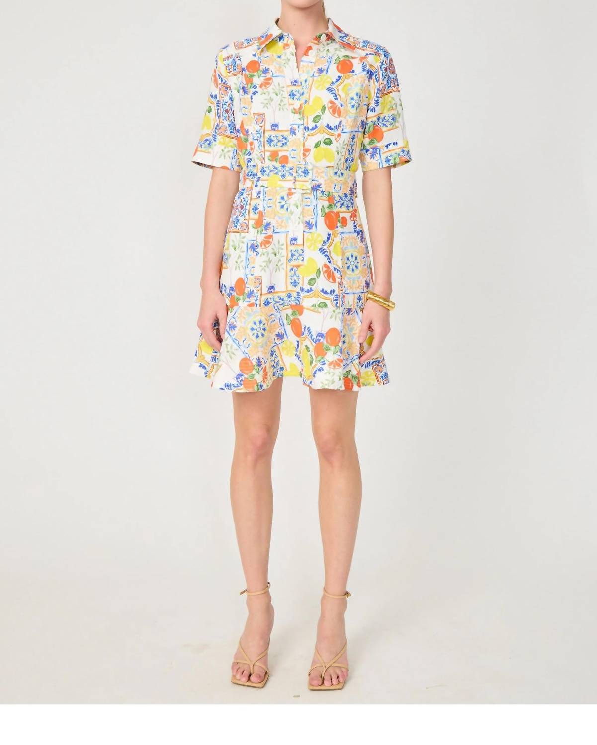 Gilner Farrar - Payden Fitted Button Down Dress