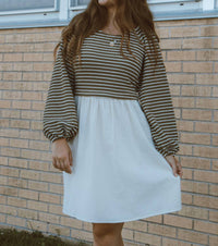 Mikarose Class In Session Striped Contrast Mini Dress in session striped contrast mini dress in olive green - women's dress - view 5