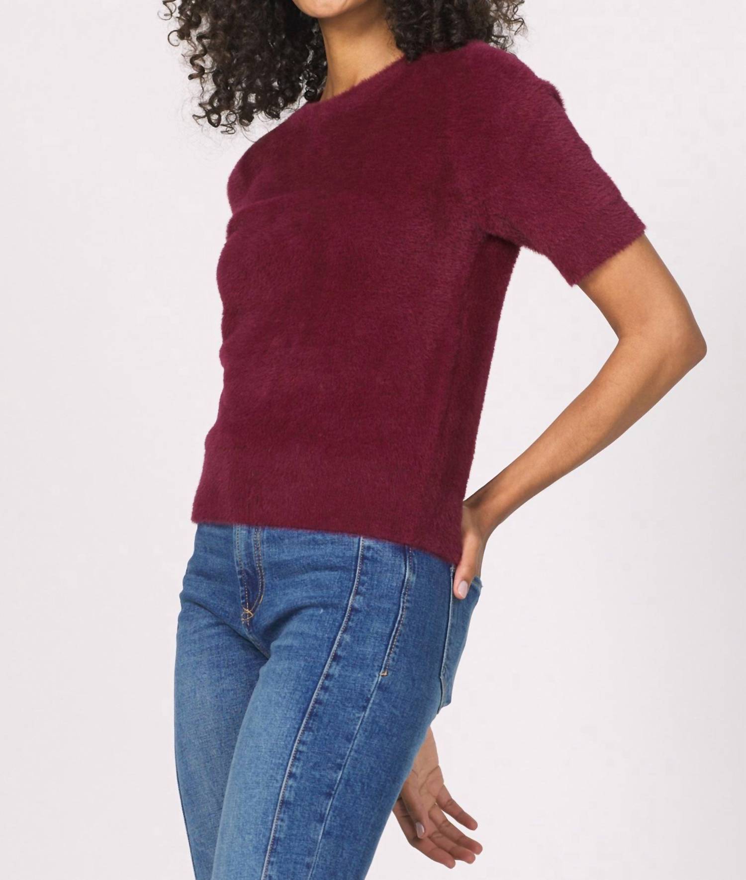 Another Love - Susie Short Sleeve Fuzzy Sweater