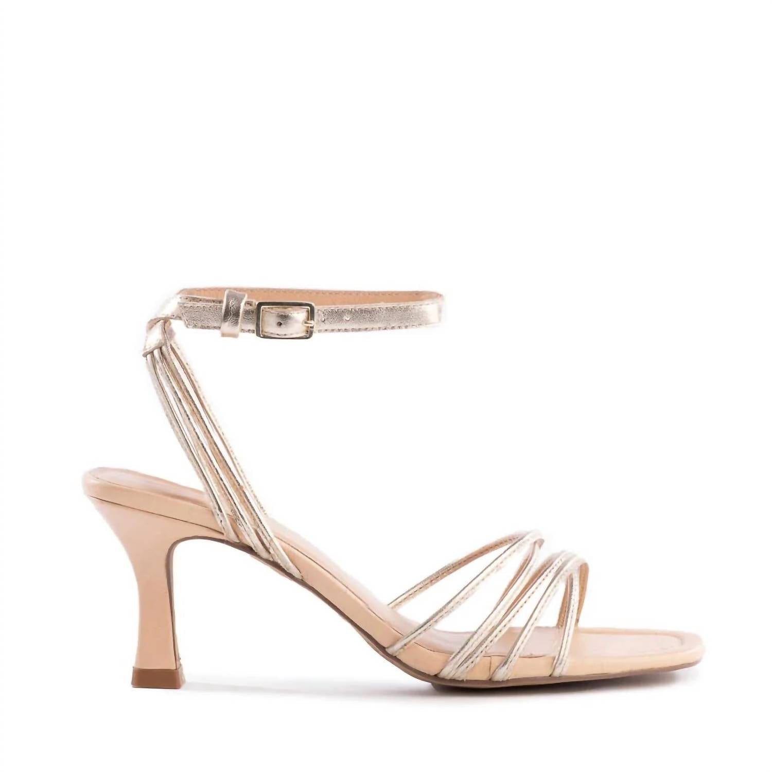 Starboard Heels
