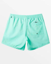 Quiksilver - Men's Everyday Solid Volley Short