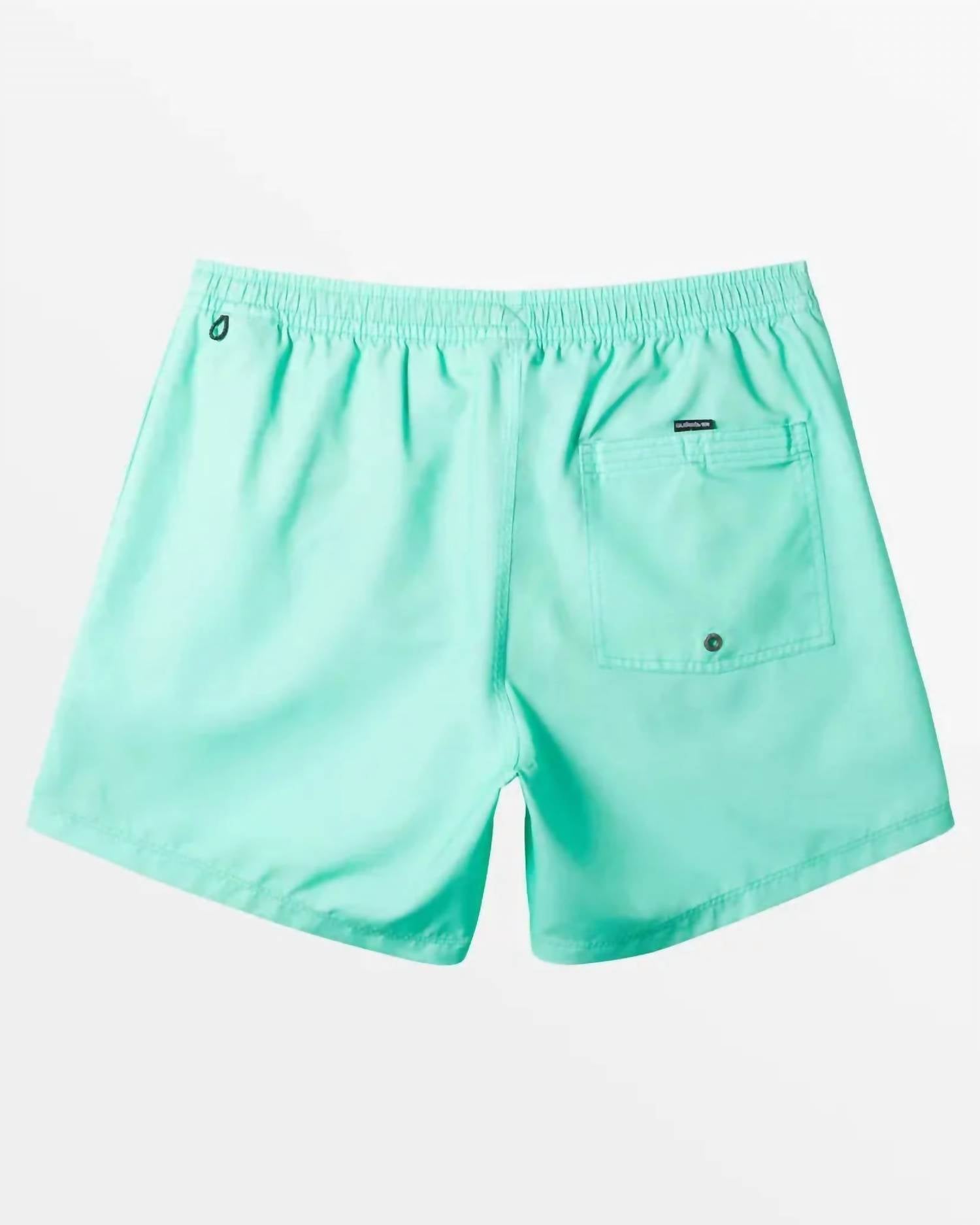 Quiksilver - Men's Everyday Solid Volley Short