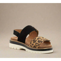 Ara Women's Marabella Sandals in leopard black - women's sandal - view 4