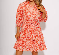 Ivy Jane Pretty Paisley Dress in coral - women's dress