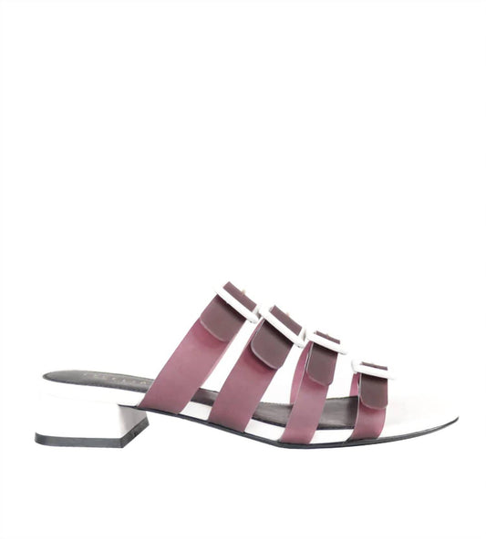 Cecelia New York - LEXINGTON SLIDE SANDAL