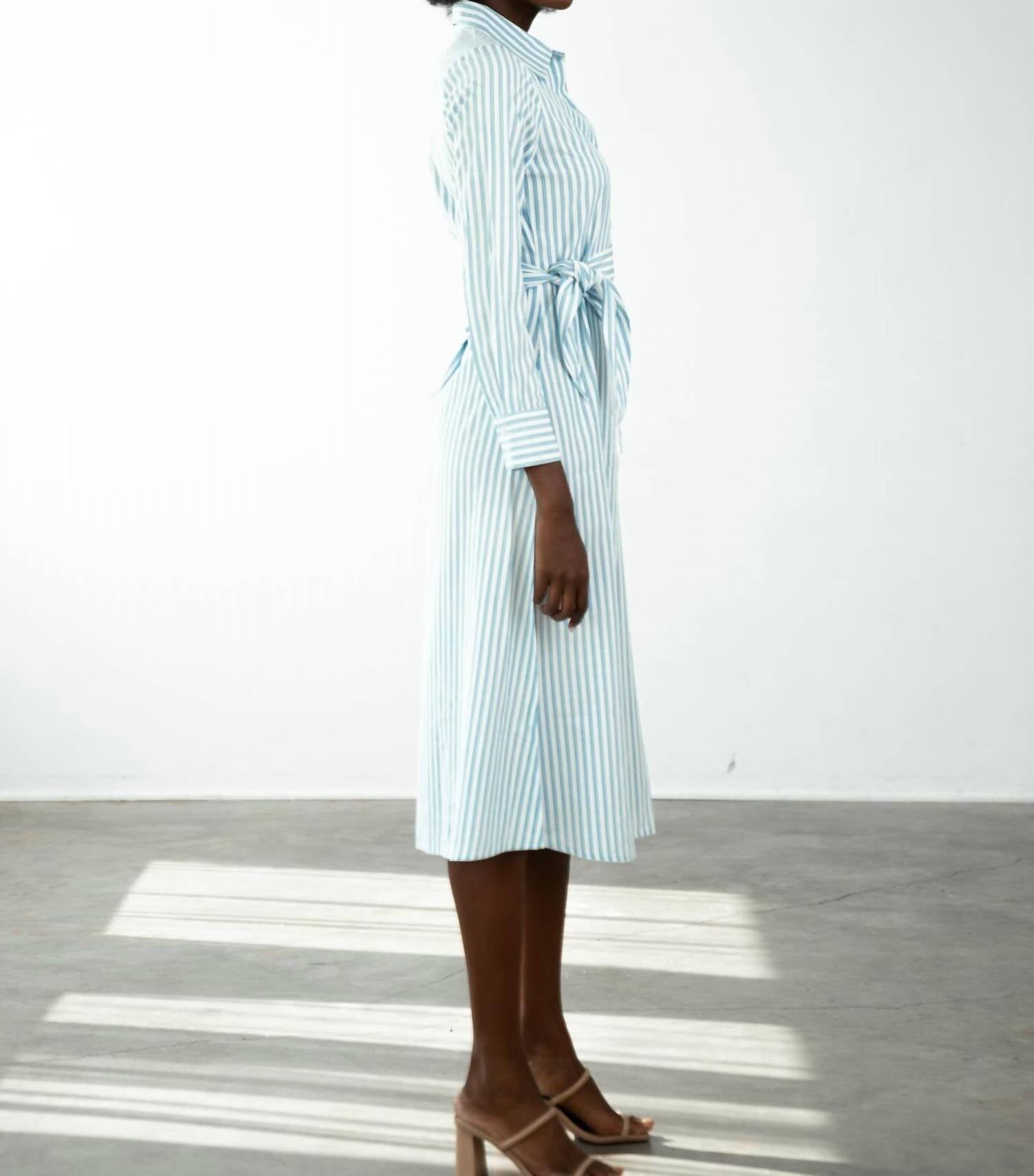Never a Wallflower Sasha Shirt Midi Dress in blue stripe - women's dress - detail view