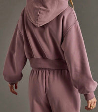 Panache Apparel Cropped Hooded Sweatshirt in dusty purple - women's top - alternate view