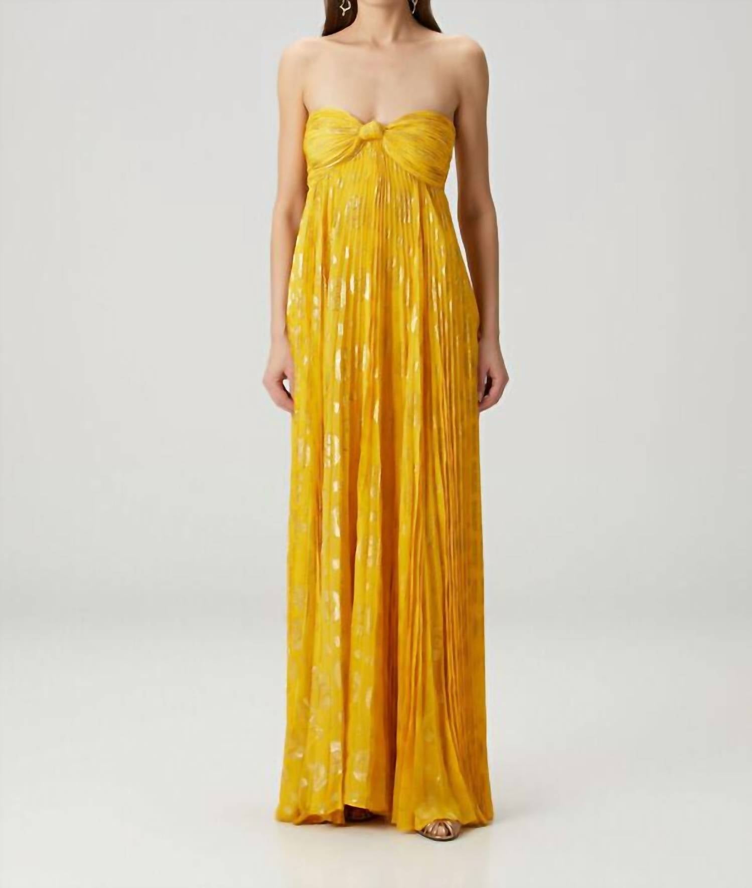 Alexis - Soleil Strapless Maxi Dress