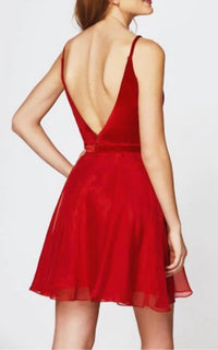 Angela & Alison - Velvet Dress