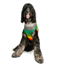 Chilly Dogs - Rainbow Mohawk Dog Sweater