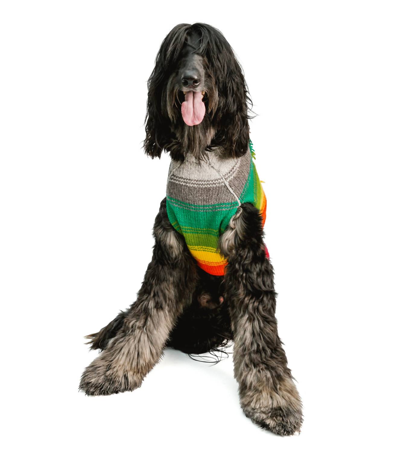 Chilly Dogs - Rainbow Mohawk Dog Sweater