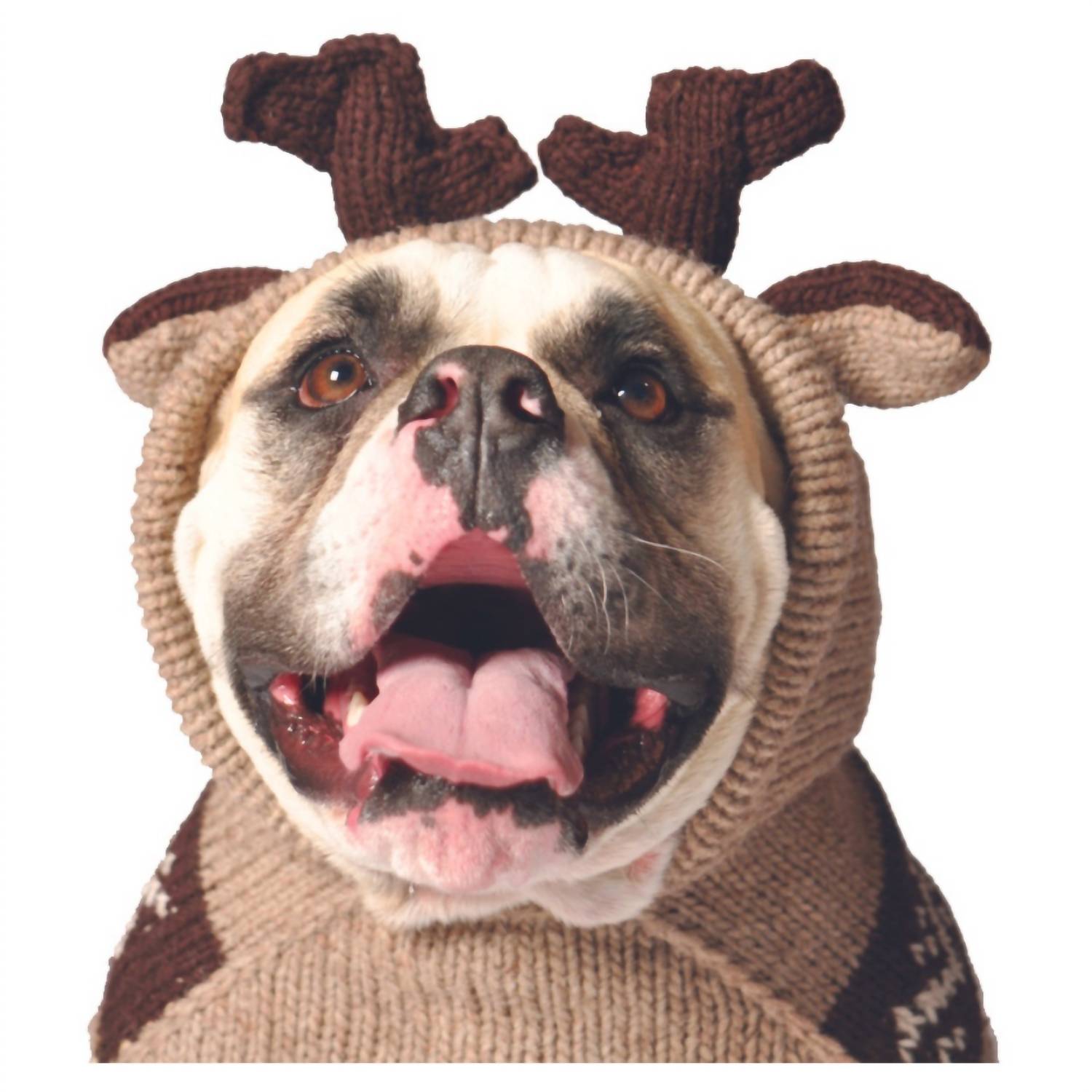 Chilly Dogs - Moosey Dog Sweater