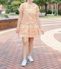 Brooke Wright - Zebra Lucy Dress