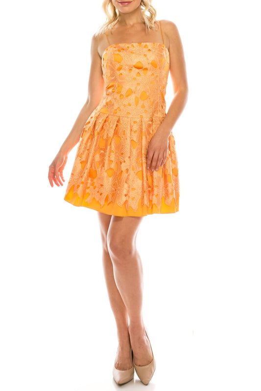 Adrianna Papell - Embroidered Lace Over Satin Dress