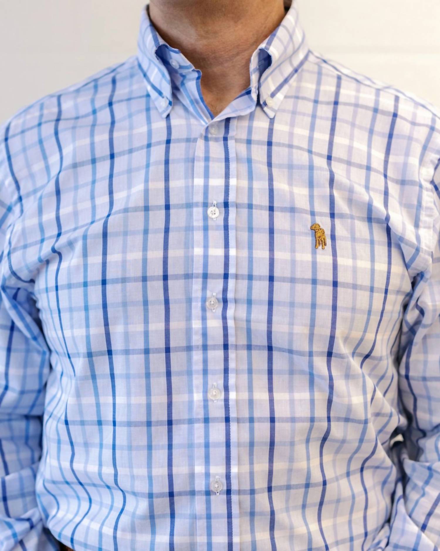 Southern Casanova - Ridge Check Button Down Shirt