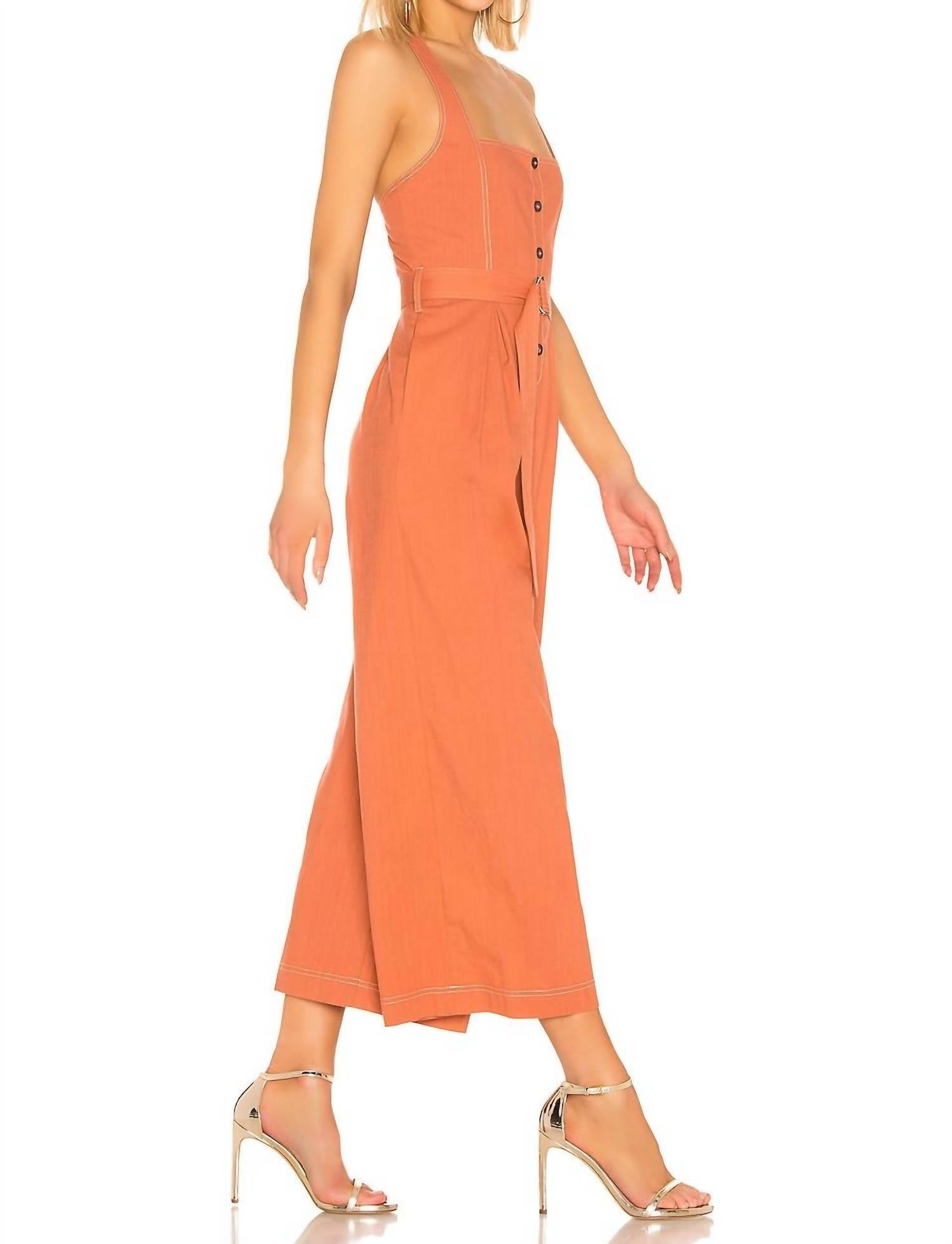 ASTR Warwick Jumpsuit in clay - women's pants - detail view