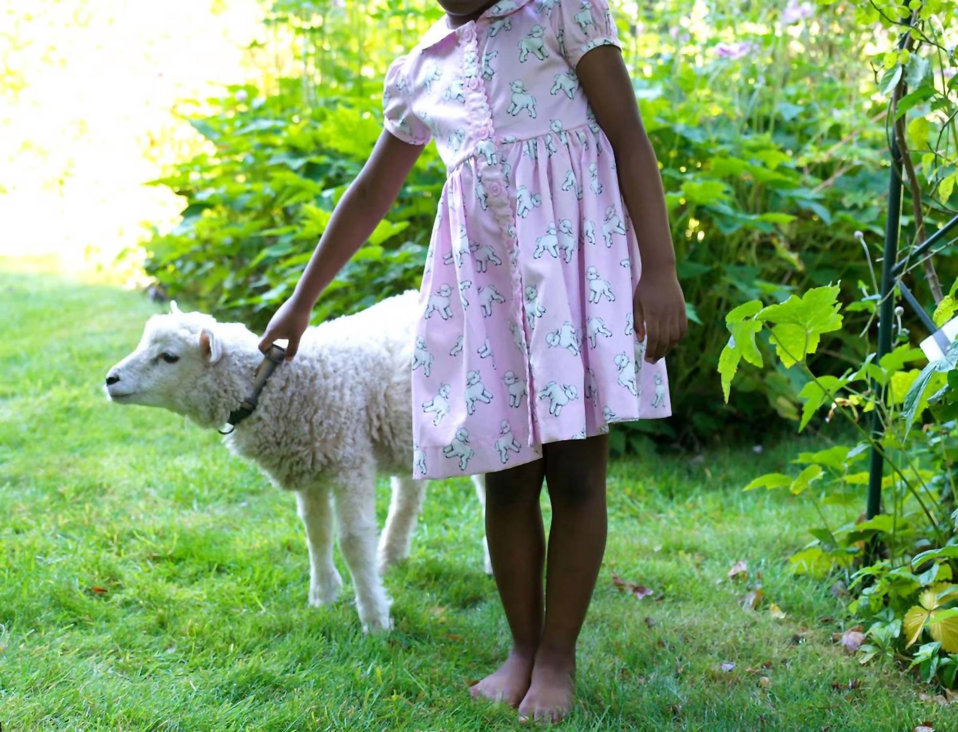 Rachel Riley Girl's Lamb Button Front Dress in pink - kids' dress - alternate view