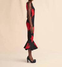 Marni - Juno Print Poplin Midi Dress