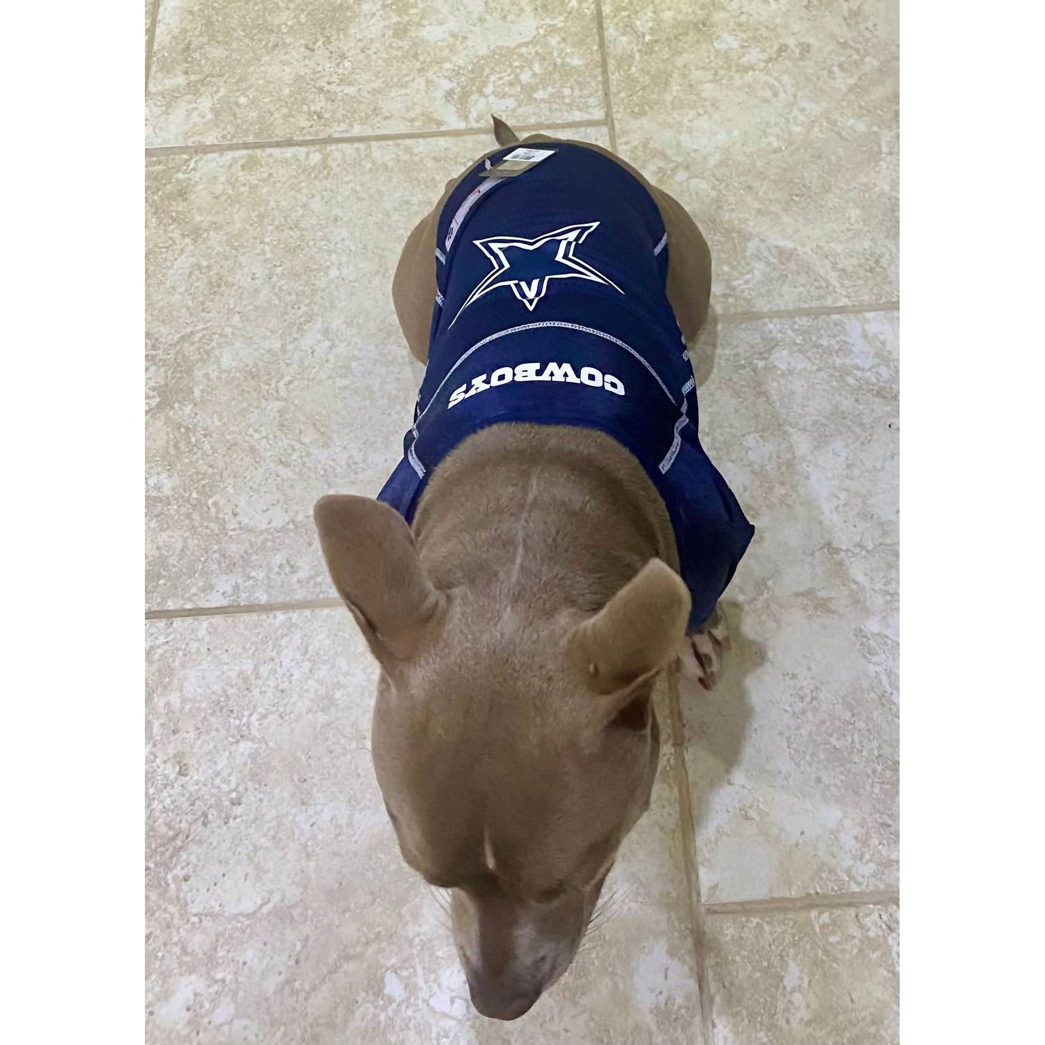 Little Earth Productions - Dallas Cowboys Official Pet Jersey