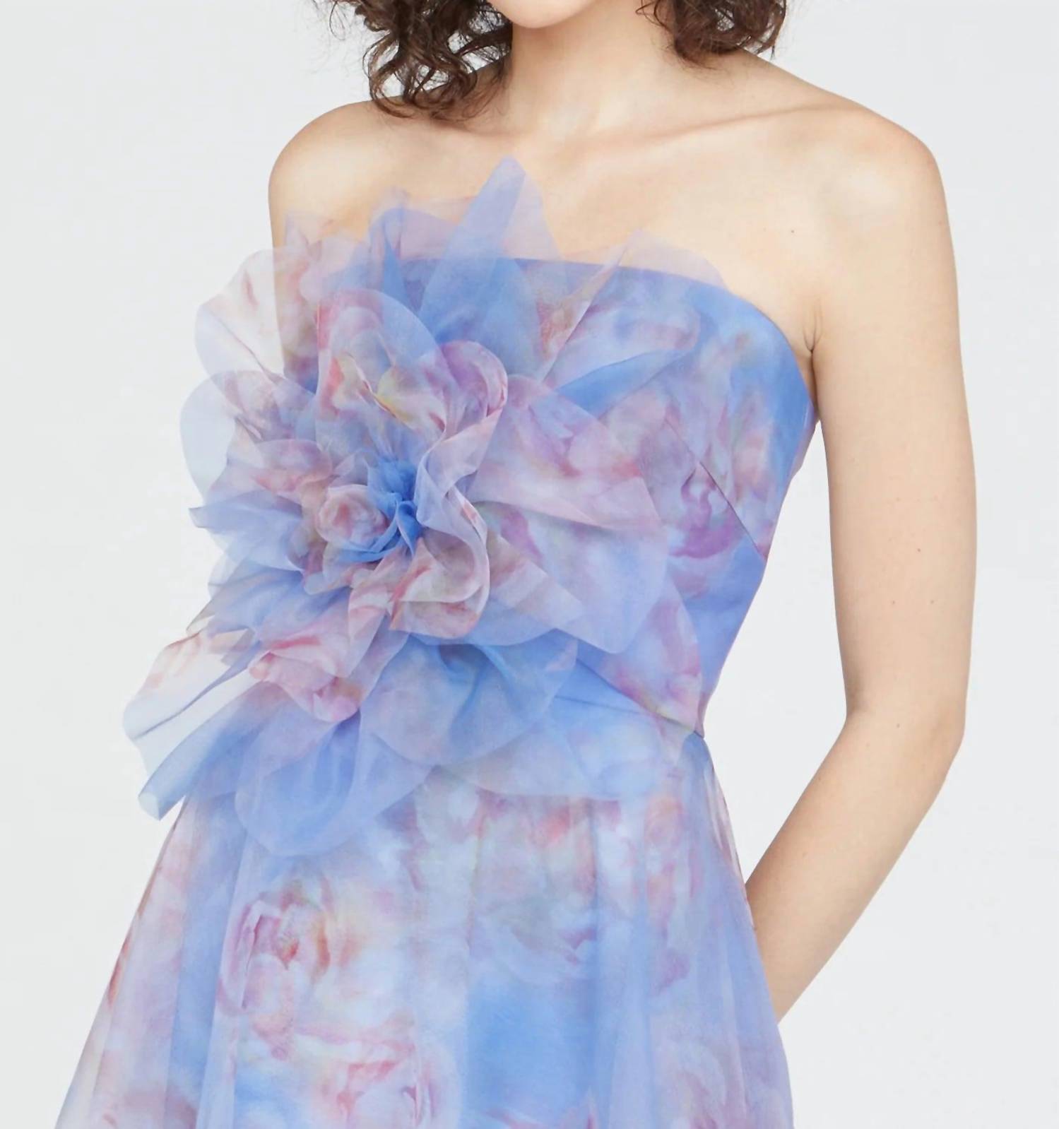 Theia - Kimberley Strapless Printed Organza Gown