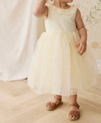 Jamie Kay - Adalyn Dress