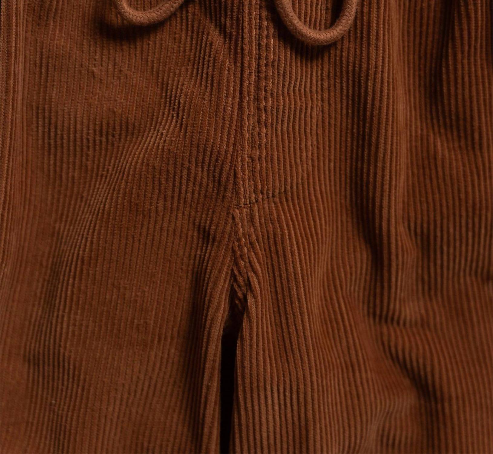 Iron & Resin Men's Wilson Corduroy Pants in rust - men's pants - alternate view