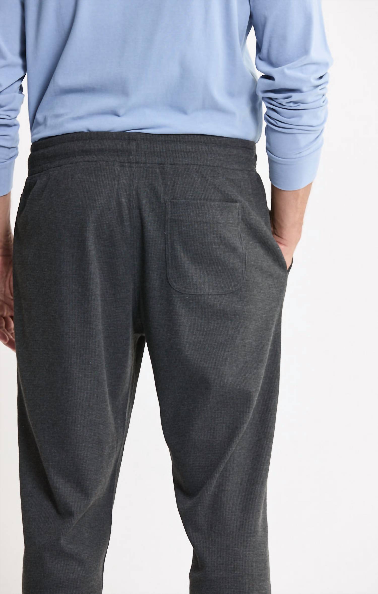 Jachs New York - Brushed Waffle Jogger Pants